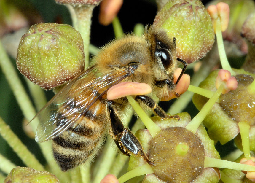 Queste vi consiglio proprio di guardarle!